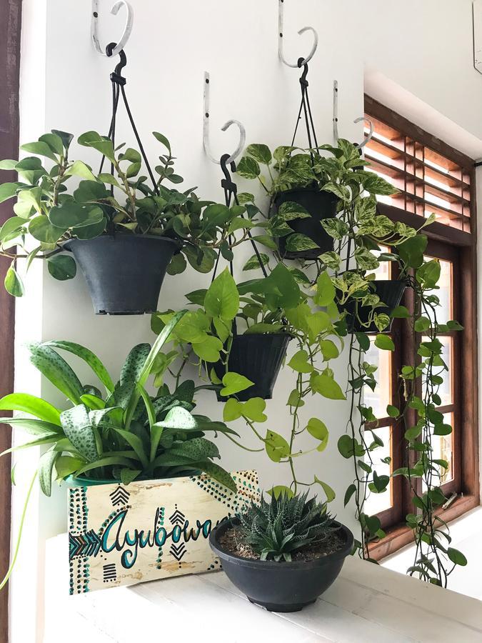 Bed & Bicycle Hostel Dehiwala-Mount Lavinia Luaran gambar